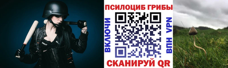 Купить где  Ленинск  Псилоцибиновые грибы Magic Shrooms 